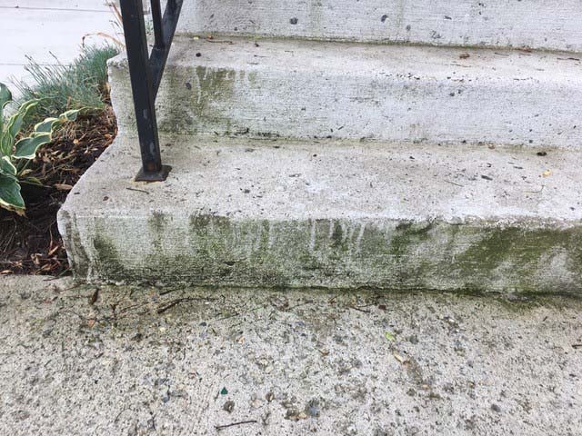 Green algae forming on the steps of a home due to the condensation drip