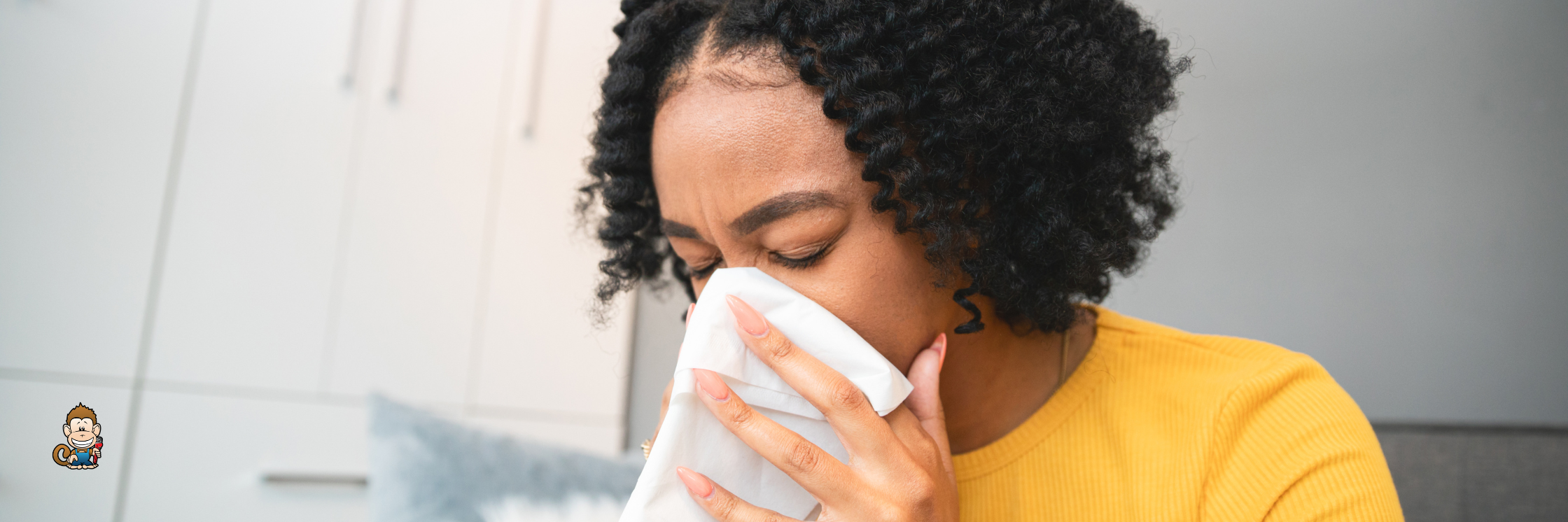 Best Air Filters for Allergies