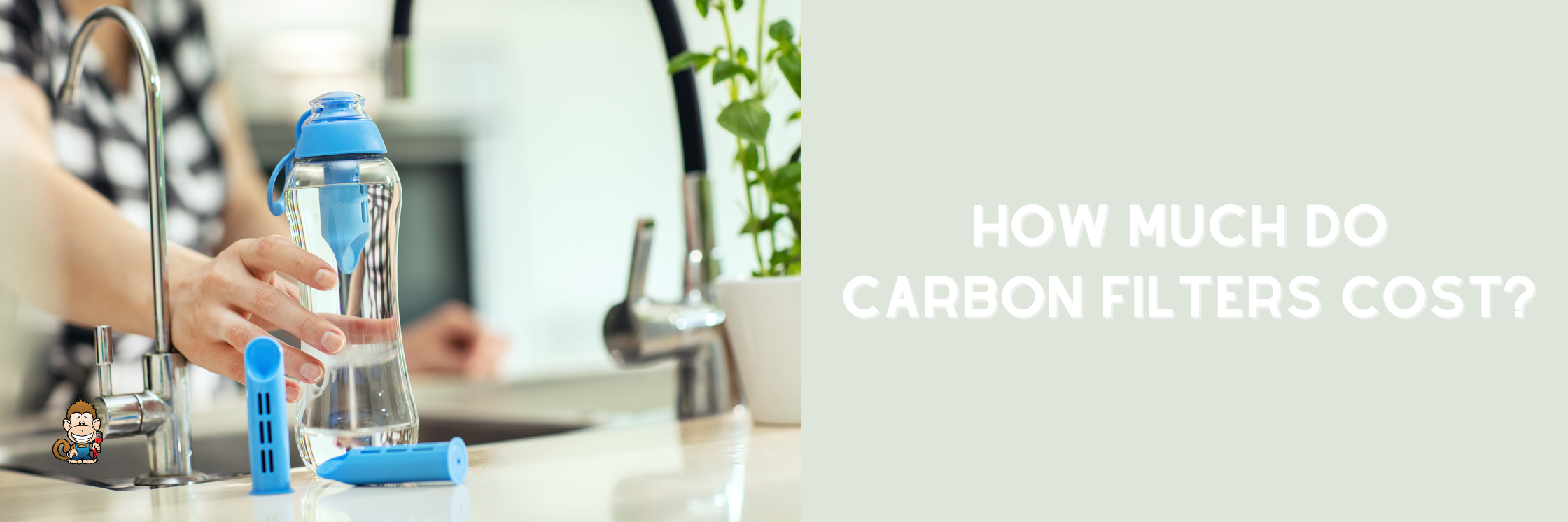 How Much Do Carbon Filters Cost?