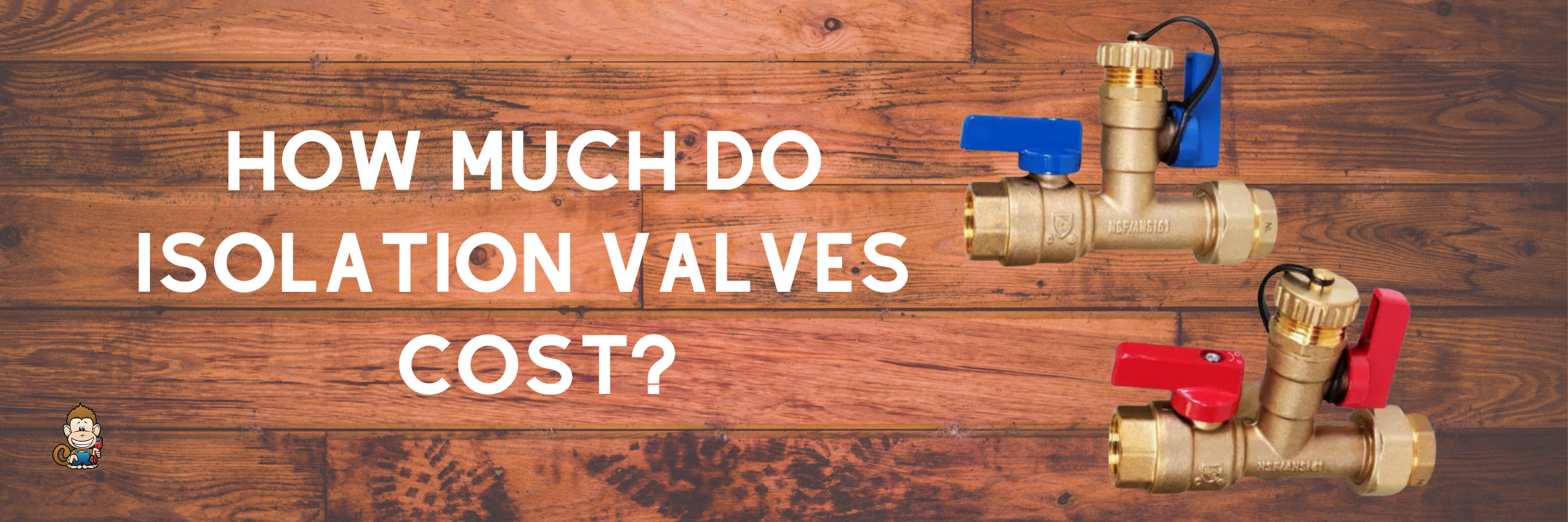 How Much Do Isolation Valves Cost?
