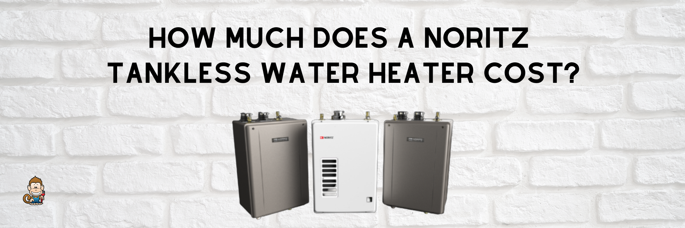 How Much Does a Noritz Tankless Water Heater Cost?