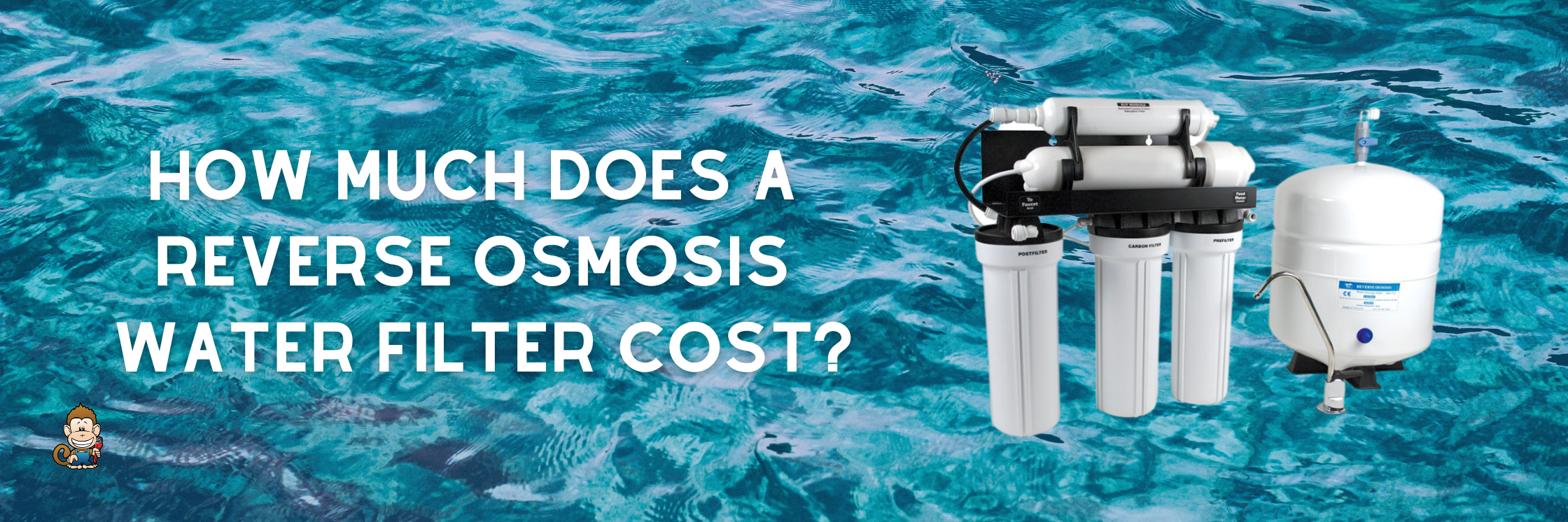 How Much Does a Reverse Osmosis Water Filter Cost?