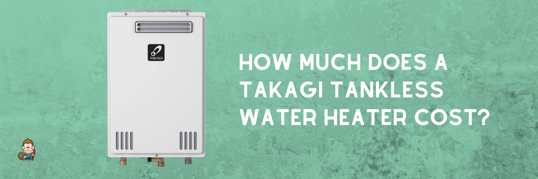 How Much Does a Takagi Tankless Water Heater Cost?