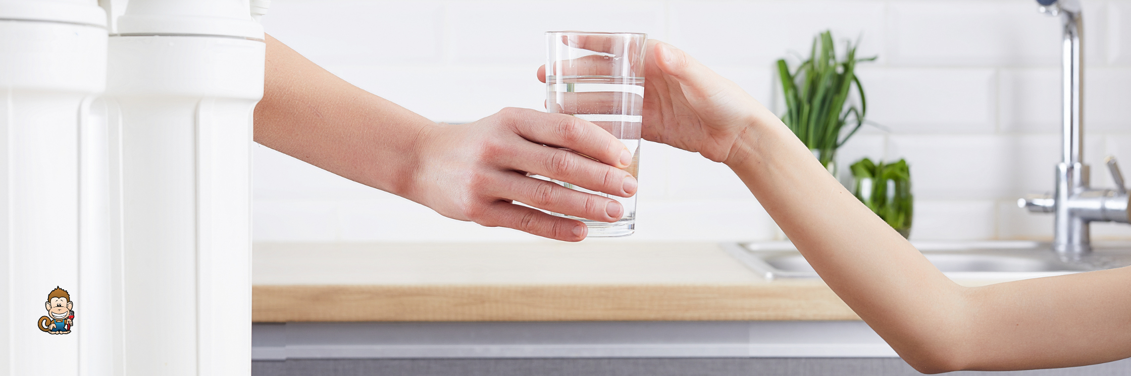 The Pros and Cons of Alkaline Water Ionizers