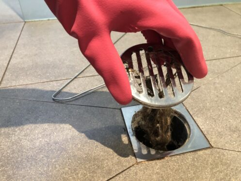Gloved hand lifting a shower drain cover and to show hair clogs
