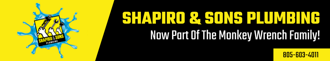 shapiro and sons graphic